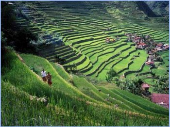 Ifugao Rice Terraces in the Philippines