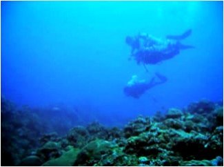Albay Pursues 'Blue Economy' With Eco-Nautical Tourism - San Miguel Marine Sanctuary of Tabaco City