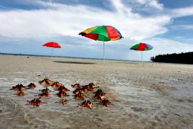 Ambulon Beach, Vincenzo Sagun, Zamboanga del Sur, Philippines