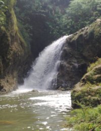 Bohol Island - Dagook Falls