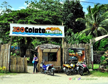 Bohol Travel - ZooColate Thrills Another Reason to Visit Bohol