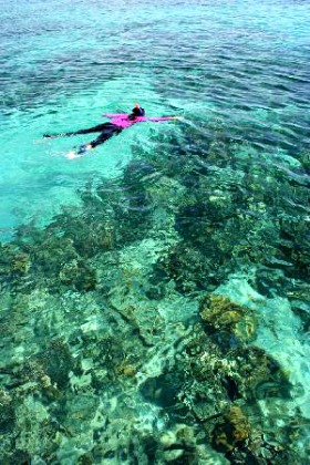 Bugsayon Marine Sanctuary  - Masbate Beach” title=