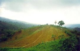 Mount Malindang National Park