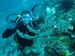 Biri Island Samar - Scuba Diving Philippines