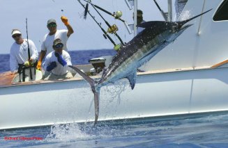 Siargao Philippines game fishing