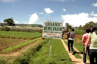 Sustainable Eco Tourism Organic Farms