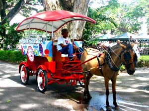 Modern Tartanilla in Dumaguete