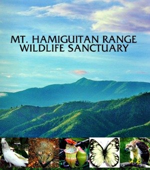 Mt. Hamiguitan Range Eco-Tourism Park - Priority Eco-Tourism Projects Launching in Davao Oriental