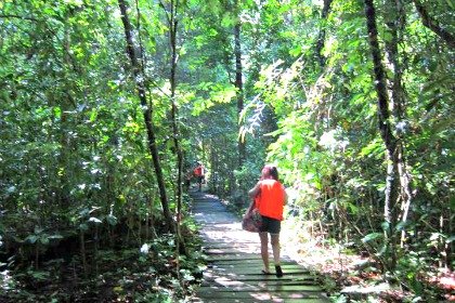 Jungle Trail to Underground River Opens Again in Puerto Princesa