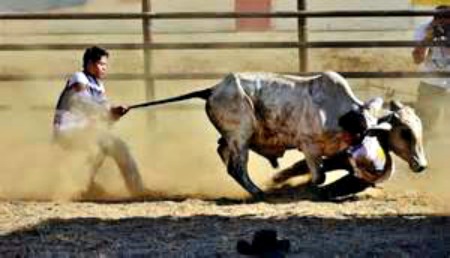 Masbate's Rodeo Festival and Tourism Campaign Takes Off in April