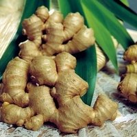 Natural Herbal Remedies - Ginger Root