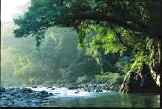 Northern Sierra Madre National Park