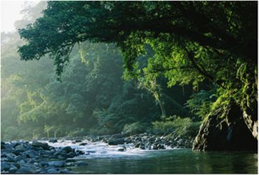 Sierra Madre Natural Park