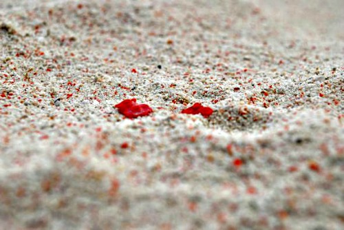 Zamboanga's Pink Sand Beach on National Geographic's Best Beaches in the World